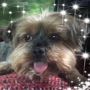 Meet your Posher, Cyndie